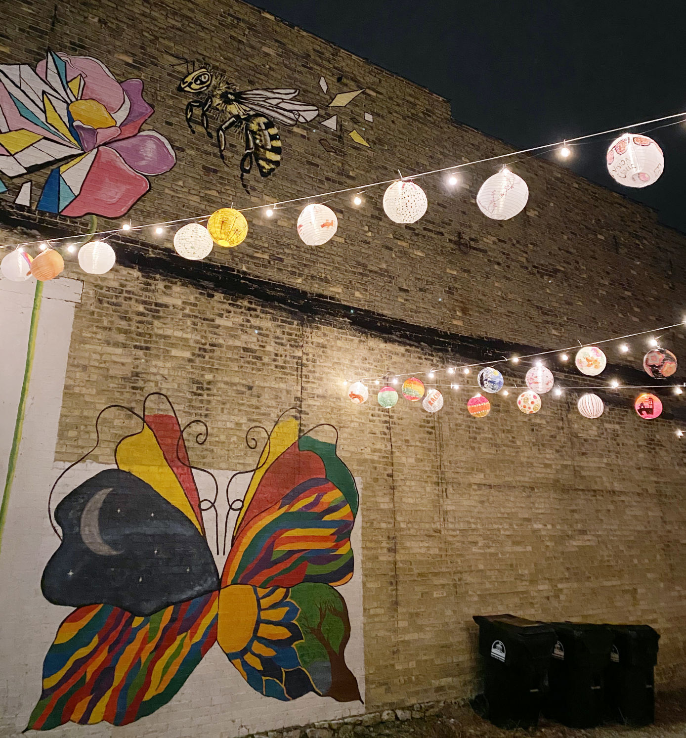 Flower, butterfly, bee, lanterns